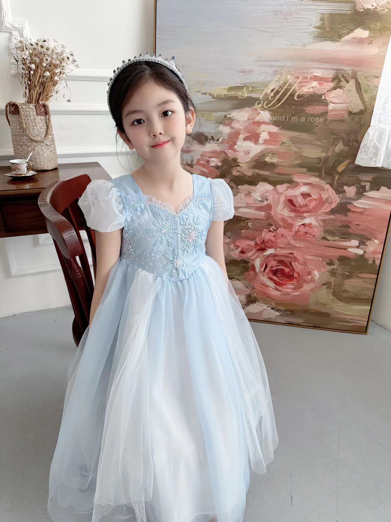 Robe de Princesse Elsa Brodée  - Baby Clothing Dresser avis et prix