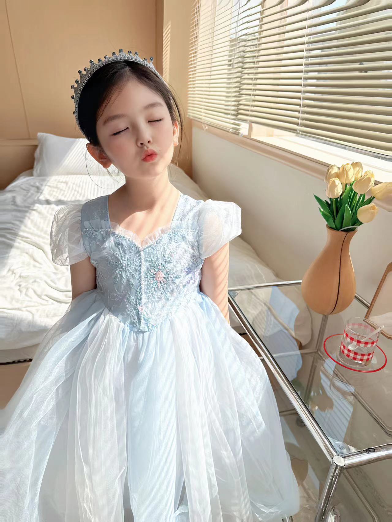 Robe de Princesse Elsa Brodée  - Baby Clothing Dresser avis et prix